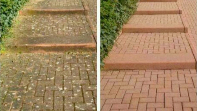 Treppenstufen reinigen - wie neu